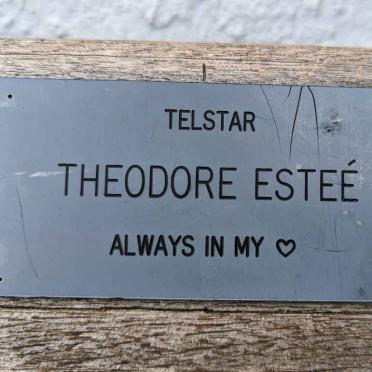 ESTEE Theodore