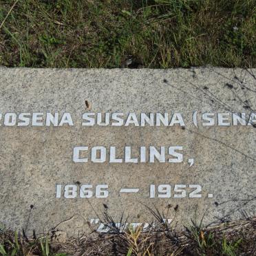COLLINS Rosena Susanna 1866-1952