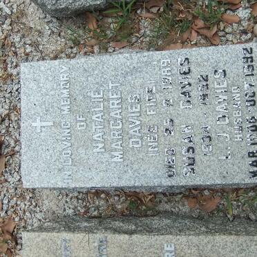 D - Vanne :: Surnames - D