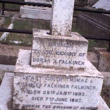 FALKINER Doran H. 1882-1882