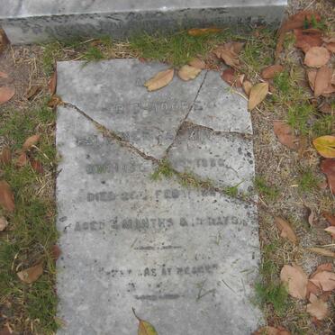 FALKINER Eric Moore Falkiner 1886-1887