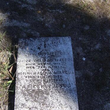 M - Surnames :: Vanne - M