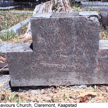 MUSGRAVE A.E.L. nee D'URBAN -1878 :: MUSGRAVE Annette D'URBAN 1894