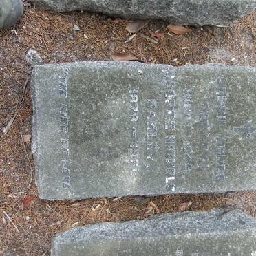 O - Surnames :: Vanne - O