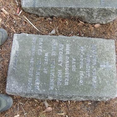 WRIGHT Letitia Sarah -1940 :: FALKINER Sydney Hope Bailie -1962