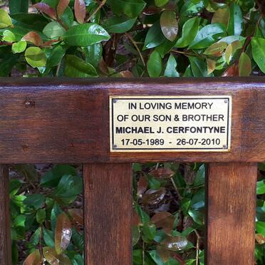 CERFONTYNE Michael J. 1989-2010
