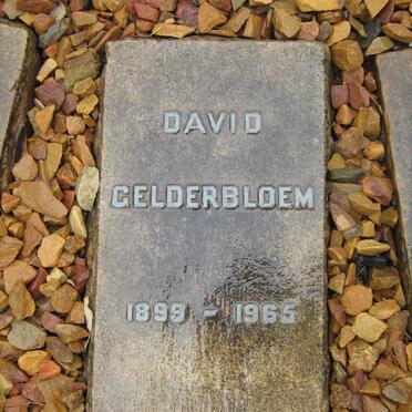 GELDERBLOEM David 1899-1965