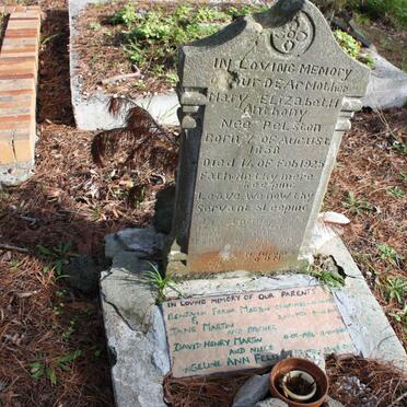 ANTHONY :: PELSTON :: MARTIN :: FELIX