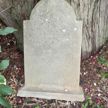 K - Surnames :: Vanne - K