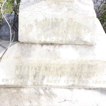 MOORE F., Bullen -1905