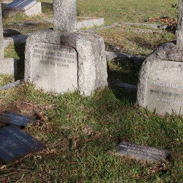 SKEELES :: YOUNG :: THOMAS