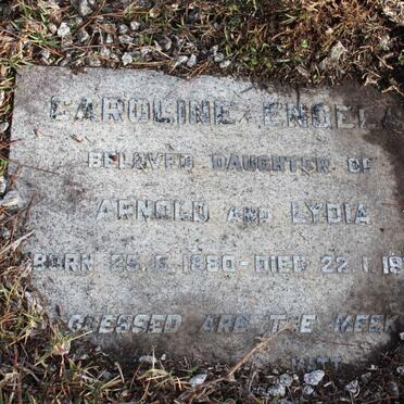 SPILHAUS :: SEDGWICK :: ENGELS