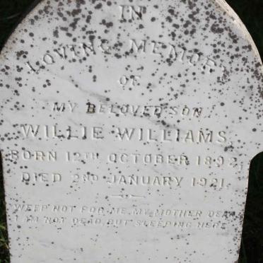 WILLIAMS Willie 1892-1921