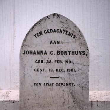 BONTHUYS Johanna C. 1901-1901