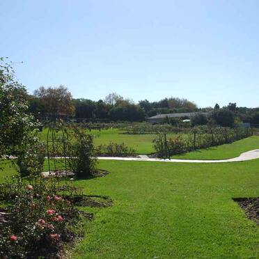 1. Overview - Rose Garden