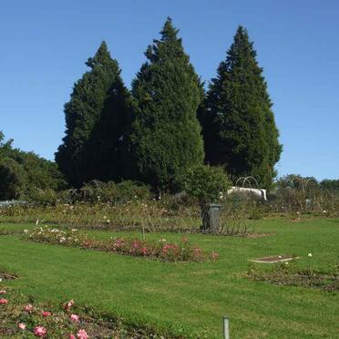 2. Overview - cemetery in 2009