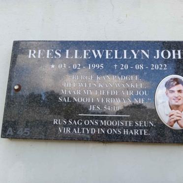 JOHN Rees Llewellyn 1995-2022