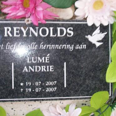 REYNOLDS Lumé Andrie 2007-2007