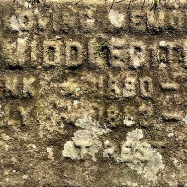 MIDDLEDITCH ? 1880-1974 &amp; ? 1883-19?8