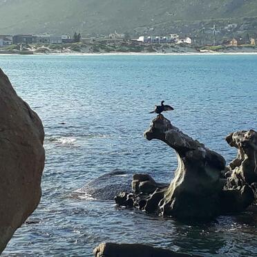 1. Overview / Oorsig