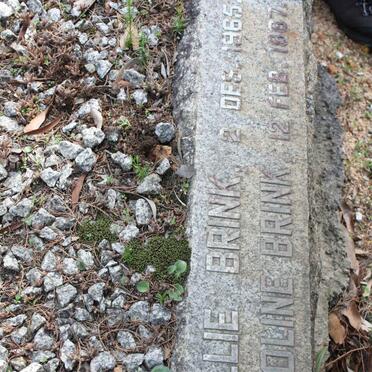 BRINK Willie -1965 &amp; Caroline -1967