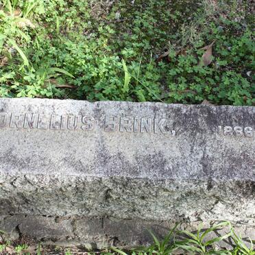 BRINK Cornelius 1886-1959