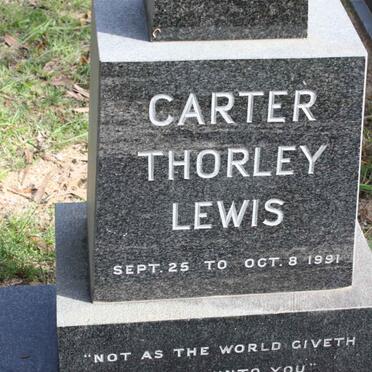 LEWIS Carter Thorley 1991-1991