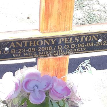 P - Vanne :: Surnames - P