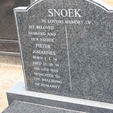 SNOEK Pieter Johannes 1954-1998
