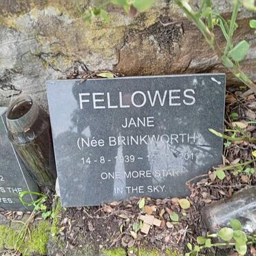 FELLOWES Jane nee BRINKWORTH 1939-2011