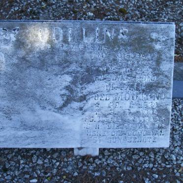 C - Surnames :: Vanne - C