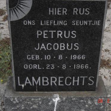 LAMBRECHTS Petrus Jacobus 1966-1966