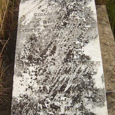 MOSTERT Gysbert van Reenen 1831-1898 &amp; Wilhelmina Elizabeth STADLER 1827-1899