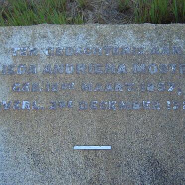 MOSTERT Alieda Andriena 1857-1926 :: MOSTERT Wilhelmina Elizabeth 1867-1942 :: MOSTERT Johanna Petronella 1863-1953