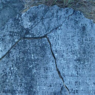 STADLER Andries Marthinus 1806-184? &amp; Alida Jacoba Dirkthina VAN REENEN 1806-1883