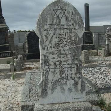 GREENSTEIN Taube -1927