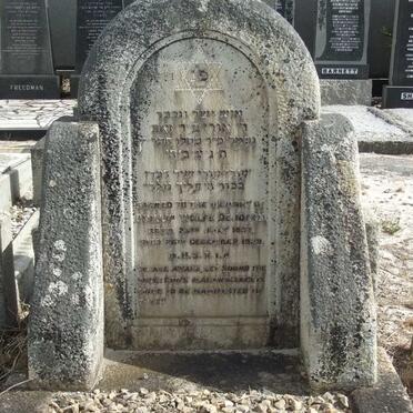 JONGH Phillip Wolfe, de 1857-19?9