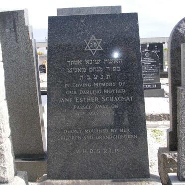SCHACHAT Jane Esther -1954