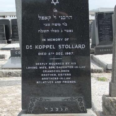 STOLLARD Koppel -1967