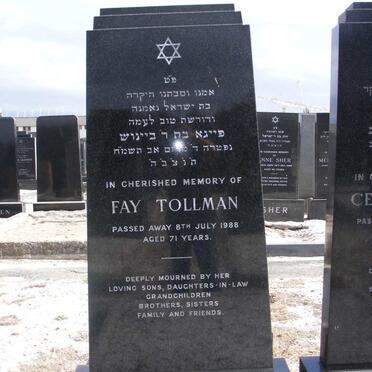 T - Vanne :: Surnames - T