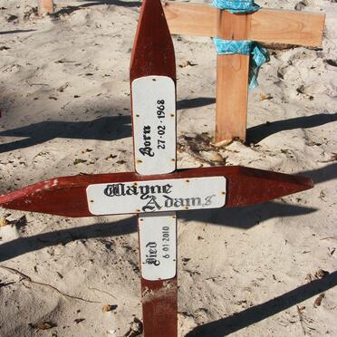 ADAMS Wayne 1968-2010