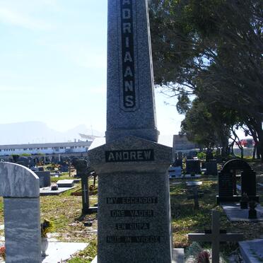 ADRIAANS Andrew 1928-2003