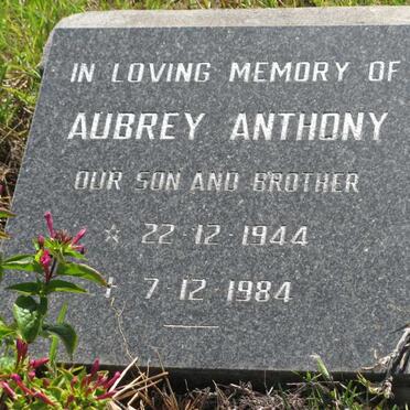 ANTHONY Aubrey 1944-1984