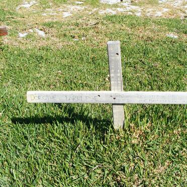 BARENDSE Dorothea 1947-2003