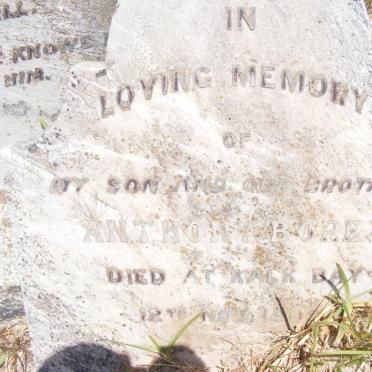 BOREZ Anthony -1909
