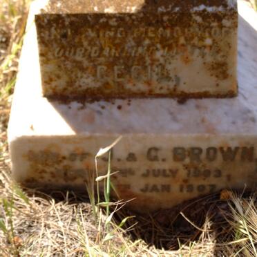 BROWN Cecil 1903-1907