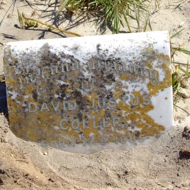 COLLER David Justus 1855-