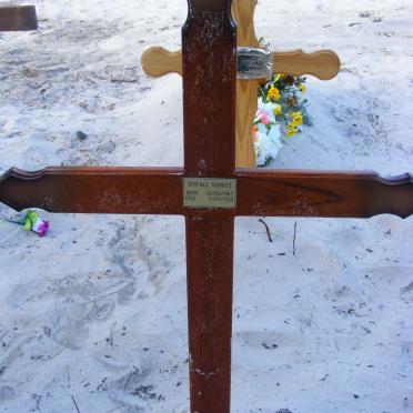DOWNES Terence 1962-2010