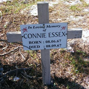 ESSEX Connie 1967-1967