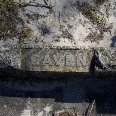 GAVEN